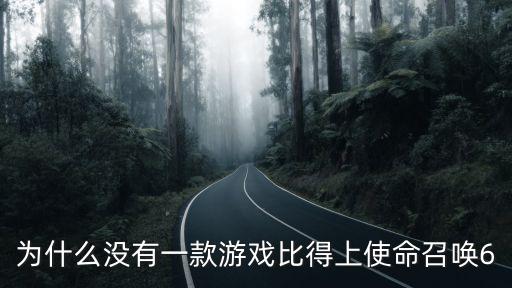 为什么没有一款游戏比得上使命召唤6