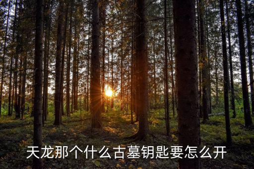 天龙那个什么古墓钥匙要怎么开