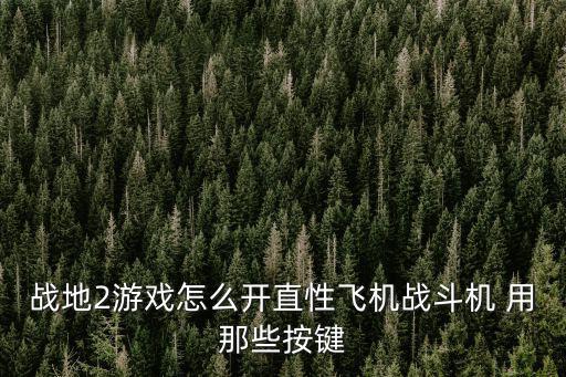 战地2游戏怎么开直性飞机战斗机 用那些按键