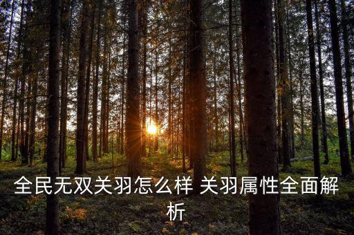 全民无双关羽怎么样 关羽属性全面解析