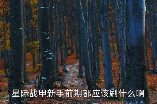 星际战甲新手前期都应该刷什么啊