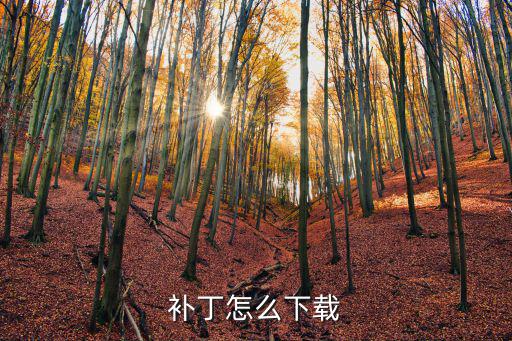 手游2k20补丁怎么下载，补丁怎么下载