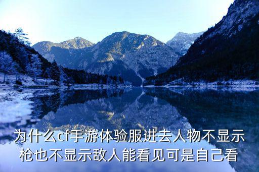为什么cf手游体验服进去人物不显示枪也不显示敌人能看见可是自己看