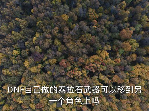 DNF自己做的泰拉石武器可以移到另一个角色上吗
