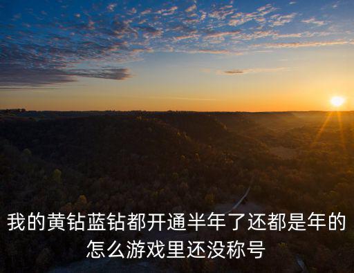 我的黄钻蓝钻都开通半年了还都是年的怎么游戏里还没称号