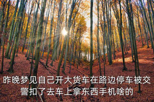 昨晚梦见自己开大货车在路边停车被交警扣了去车上拿东西手机啥的