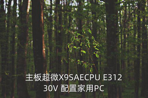 主板超微X9SAECPU E31230V 配置家用PC