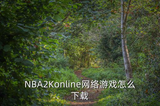 NBA2Konline网络游戏怎么下载