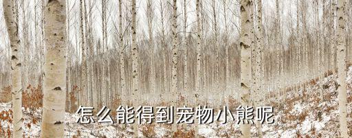 奥拉星手游小熊精灵怎么获得，怎么能得到宠物小熊呢