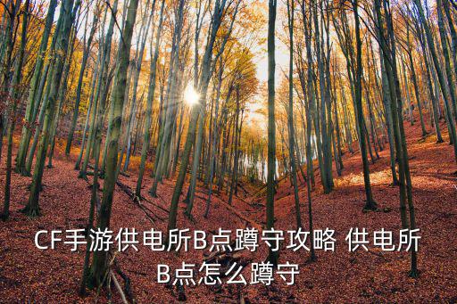 cf手游供电所怎么连蹲，CF游戏时怎样在地上蹲着连跳
