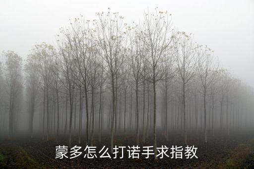 蒙多怎么打诺手求指教