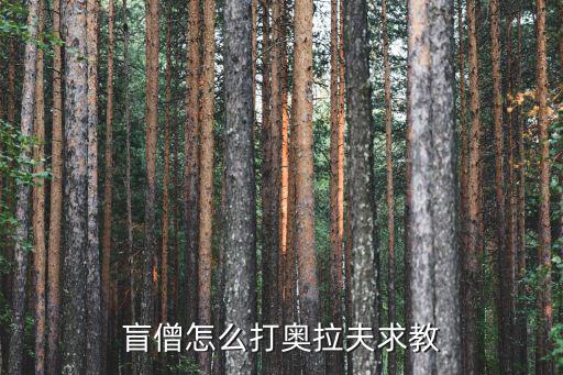盲僧怎么打奥拉夫求教