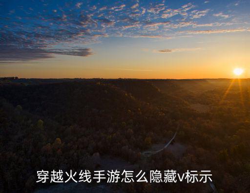 穿越火线手游怎么隐藏v标示