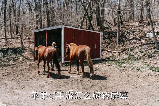 cf手游ios平板怎么调整屏幕，苹果平板升级完后怎么调旋转屏幕