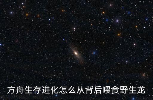 方舟生存进化怎么从背后喂食野生龙