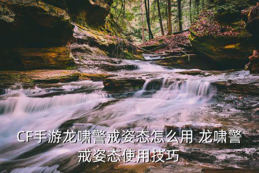 手游龙瞎的姿态怎么的，龙啸警戒姿态怎么用
