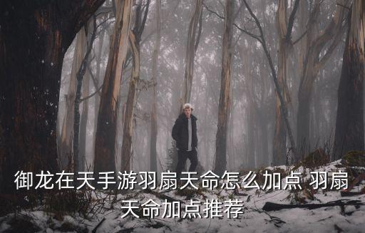 御龙在天手游羽扇天命怎么加点 羽扇天命加点推荐