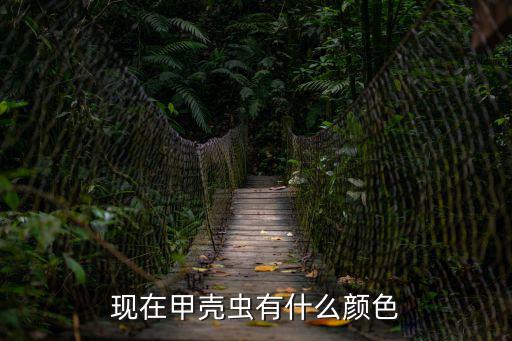 现在甲壳虫有什么颜色
