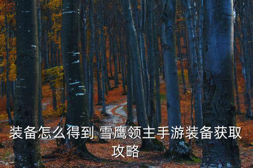 装备怎么得到 雪鹰领主手游装备获取攻略