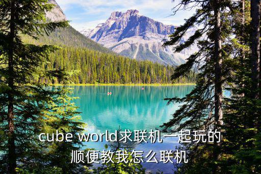 cube world求联机一起玩的顺便教我怎么联机