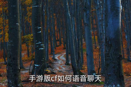 手游版cf如何语音聊天
