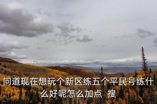 问道现在想玩个新区练五个平民号练什么好呢怎么加点  搜
