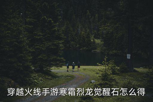 穿越火线手游寒霜烈龙觉醒石怎么得