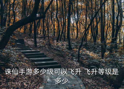 诛仙手游多少级可以飞升 飞升等级是多少