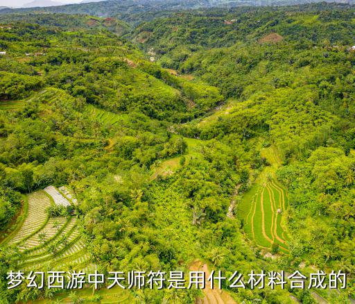 梦幻西游中天师符是用什么材料合成的
