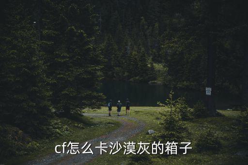 cf沙漠灰怎么卡箱子手游，请高手指点CF爆破沙漠灰怎么卡箱子