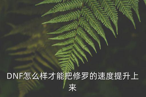 DNF怎么样才能把修罗的速度提升上来