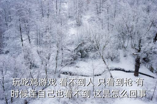 玩吃鸡游戏 看不到人 只看到枪 有时候连自己也看不到 这是怎么回事