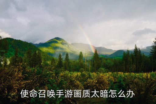 使命召唤手游画质太暗怎么办