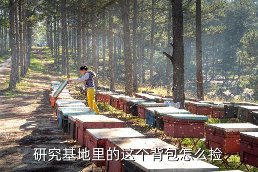 方舟手游背包怎么捡，方舟生存进化骑乘怎么打开宠物背包