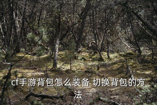 手游cf怎么换背包的枪，cf手游背包怎么装备 切换背包的方法