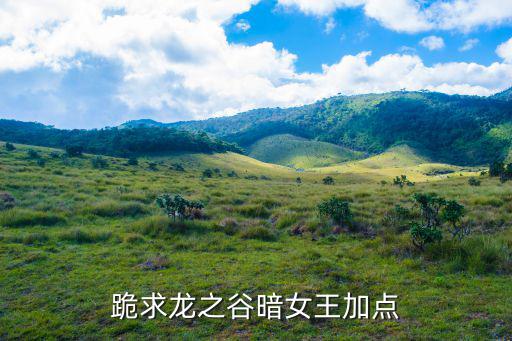 跪求龙之谷暗女王加点
