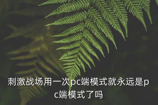 刺激战场用一次pc端模式就永远是pc端模式了吗
