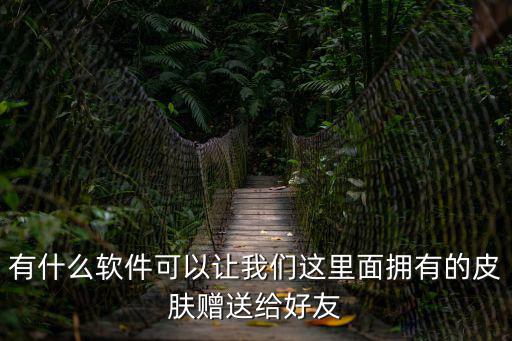 有什么软件可以让我们这里面拥有的皮肤赠送给好友