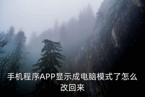 手机程序APP显示成电脑模式了怎么改回来