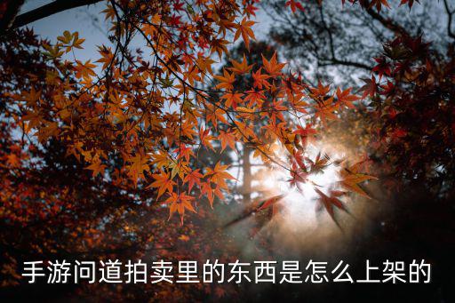 手游问道拍卖里的东西是怎么上架的