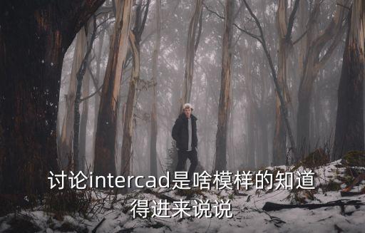 讨论intercad是啥模样的知道得进来说说