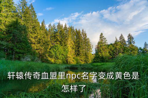 轩辕传奇血盟里npc名字变成黄色是怎样了