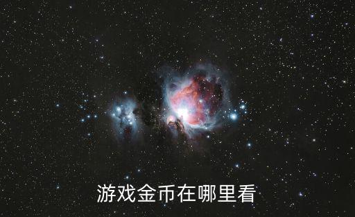 游戏金币在哪里看
