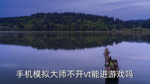 手机模拟大师不开vt能进游戏吗