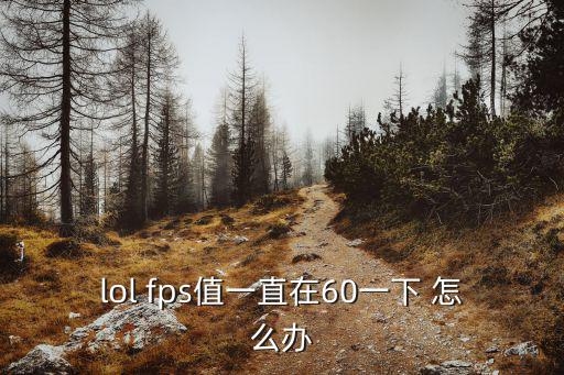 lol手游fps61怎么设置，lol fps值一直在60一下 怎么办