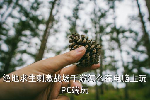 绝地求生刺激战场手游怎么在电脑上玩PC端玩