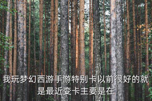 梦幻手游有点卡怎么办，我玩梦幻西游手游特别卡以前很好的就是最近变卡主要是在