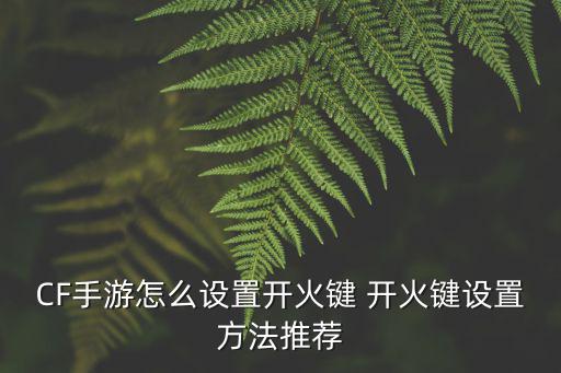 CF手游怎么设置开火键 开火键设置方法推荐