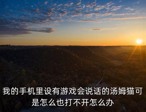 我的手机里设有游戏会说话的汤姆猫可是怎么也打不开怎么办
