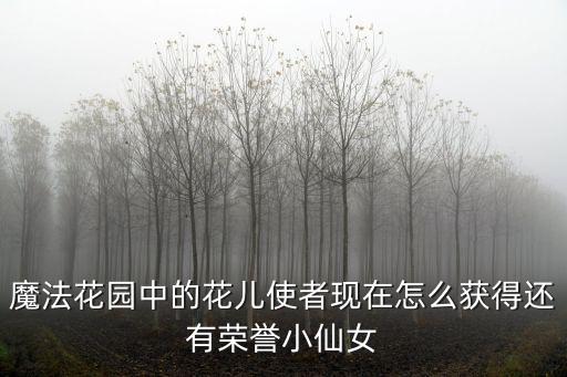 魔法花园中的花儿使者现在怎么获得还有荣誉小仙女